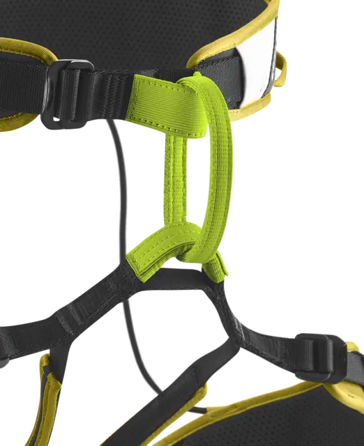 Zack Gym II