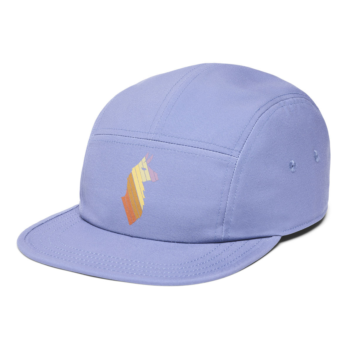 Llama Stripes 5-Panel Hat