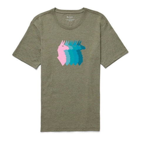 Llama Sequence Organ T-Shirt M