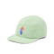 Llama Stripes 5-Panel Hat